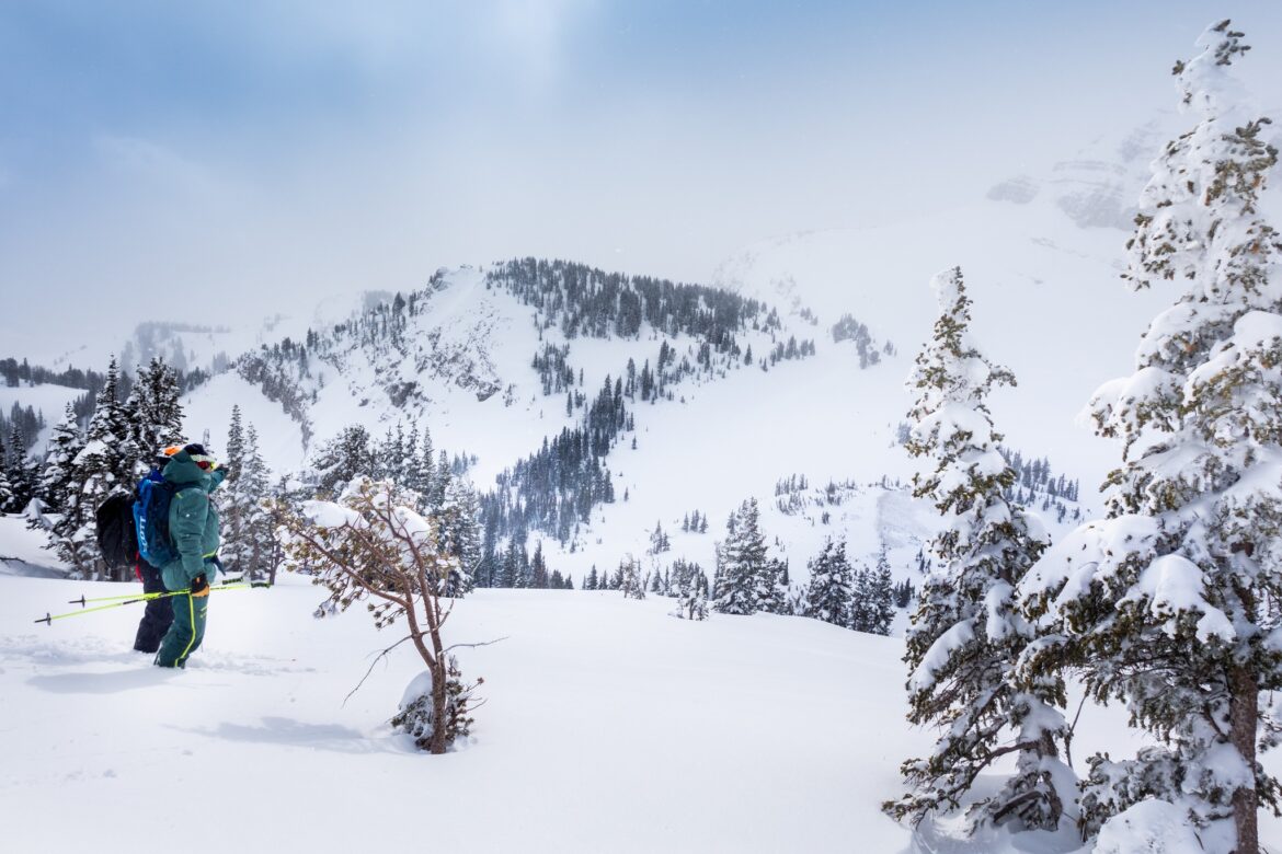 obóz snowboardowy w Stanach