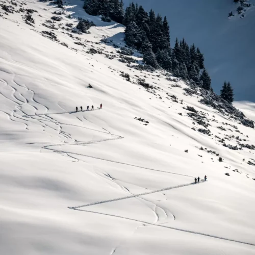 Mont Blanc Splitboard Camp
